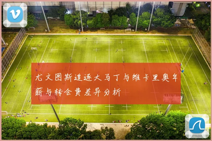 尤文图斯追逐大马丁与维卡里奥年薪与转会费差异分析